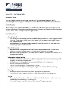 Chief Financial Officer pdf