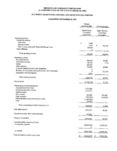 Statement of Revenue Expenses Changes in Net Position pdf