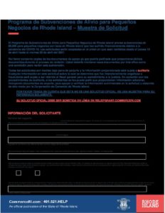 Sample Grant Application Spanish pdf